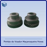 Pinhão do Voador Maçaroqueira Howa